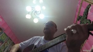 Эта песня Владимира Высоцкого, куда муж повёз на выставку, откормленного бугая