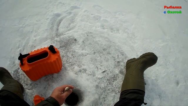 Зимняя рыбалка на Подлещика и Щуку на озере Лосвидо. Плотву тягаю туда-сюда. @rybalkasohotoj