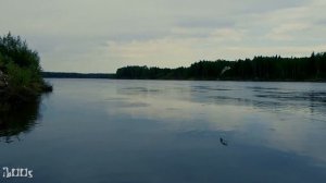 Рыбалка на реке Вычегда, язь, окунь, щука