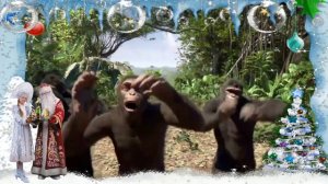 2016 год обезьяны прикольное поздравление