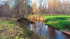 В Приволье осенью