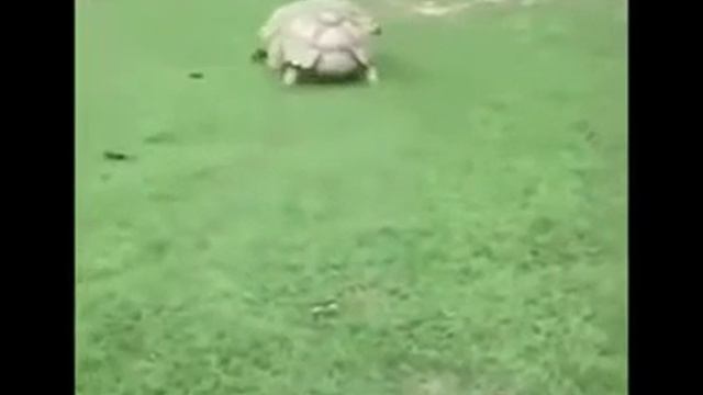 Песня ( Есть друзья а для них, у друзей нет выходных) Dety.ru смотреть онлайн