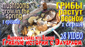 ГРИБЫ Растут Весной! 1 серия. Video 28. Грибные Истории с Эдуардом.