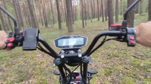 Ситикоко на поиски грибов.