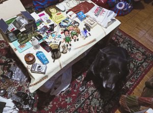 Как я зарабатываю лазия по мусаркам Москвы