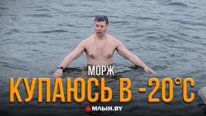 Плавает в ледяной воде. Морж о целительной силе холода и экстриме