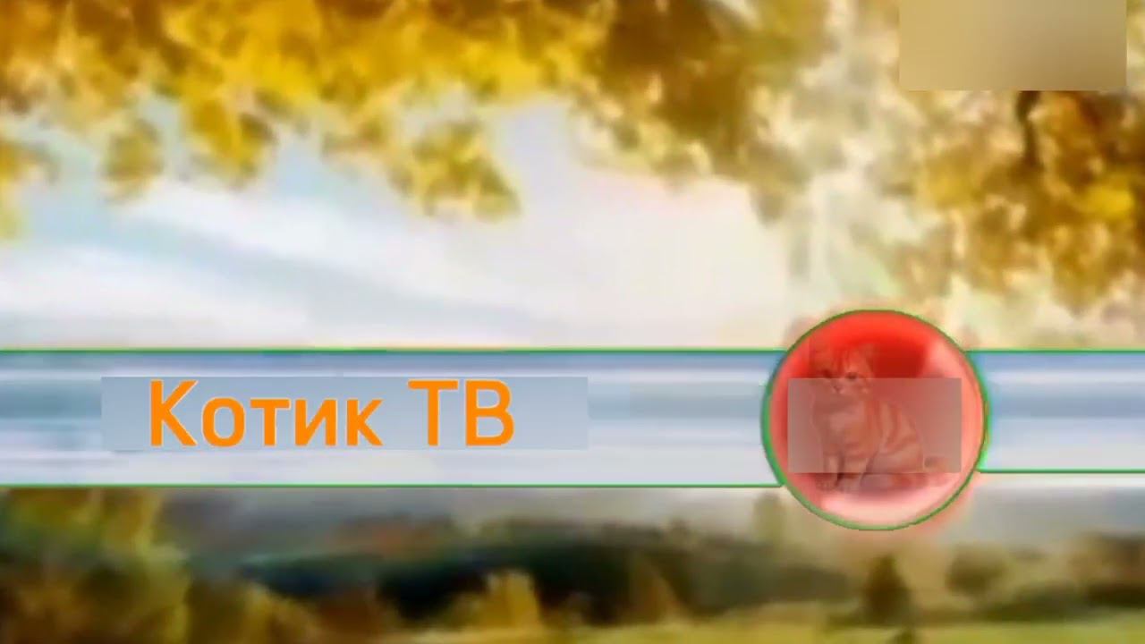 Основная заставка (Котик ТВ, 01.05.2024-н.в.) (осень) для @КотикТвДубляж смотреть онлайн