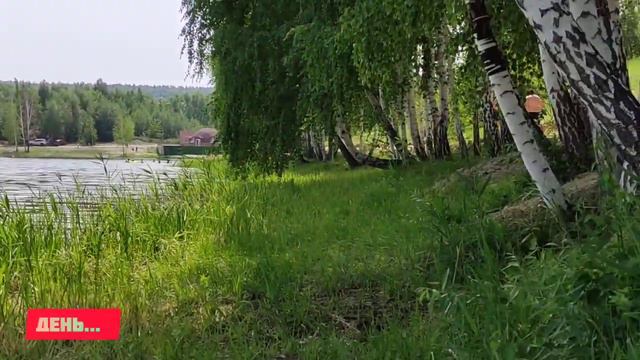 Песчанка в июле 2023... смотреть онлайн