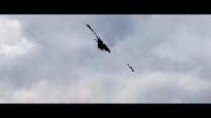 HTTYD || Together From Afar