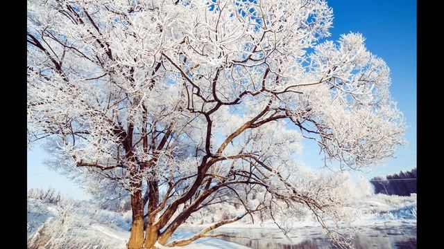 В погоне за китами. Фотосъемка около дома. Женя Кирпиченкова и Владимир Медведев смотреть онлайн