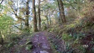 Virtual Run 4K - Blue Pools - Scenery New Zealand - Virtual Running Video for Treadmill