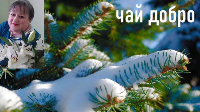 Стрим бот с вами С Новым Годом! смотреть онлайн