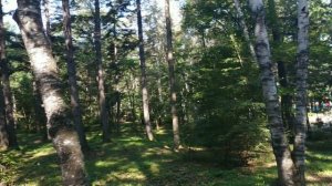 Партизанск часть 2 (Приморский край)