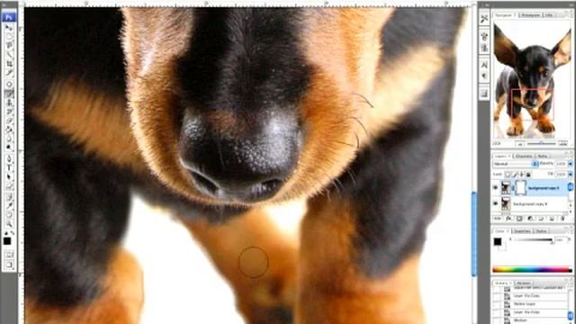 Photoshop CS3: Reflections & Text : Photoshop CS3 Reflections: Removing Noise смотреть онлайн