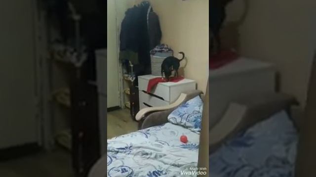 Ульяша
