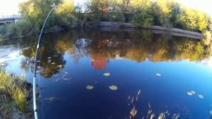 Street fishing  р Нерская, г Куровское  №3
