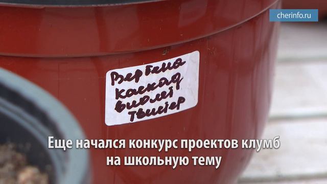 Старт «Цветущего города» смотреть онлайн