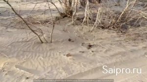 стяжки для колес, хомут противоскольжения.