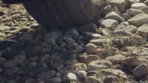 Toyota Land Cruiser Prado- система выбора режима движения Multi-terrain Select - 2020