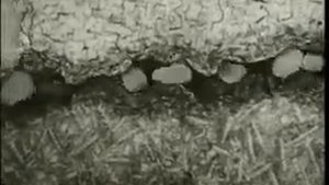 12.2  Трение, смазка и изнашивание деталей машин