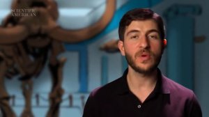 Что такое радиоуглеродный метод?