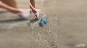 Хасаб-Оман ОАЭ в круизе! Некоторые моменты! МЦ