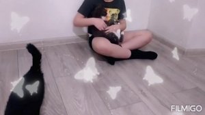 Стихотворение "Котята" от Тимофейки?