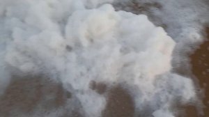 В этом году любые трудности проходят мимо...