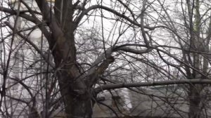 В Малино Ступинского района Московской области замерзают люди!