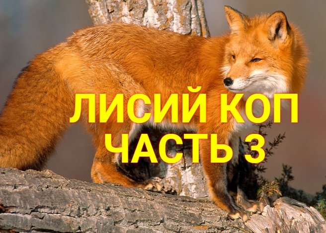 ЛИСИЙ КОП часть 3. Кладоискатель Металлоискатель