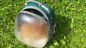 # 2. С собакой на поезде, часть 2 /Какую переноску выбрать / Мурманск 2023