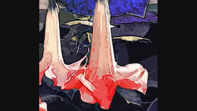 KARIZMA TEXTILE DESIGNS - BRUGMANSIA смотреть онлайн