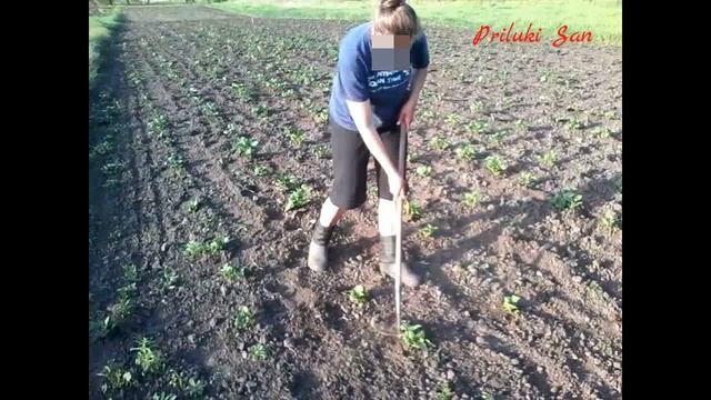 #2. Супер ручной культиватор, Плоскорез для прополки междурядий, ручной пропольник.