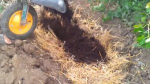 Быстрая грядка для шампиньонов грибы у Вас на огороде
