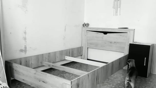 LifeVlog : рассада на начало апреля/ЕЖЕДНЕВНАЯ рутина/хочу как нибудь украсить кухню цветами смотреть онлайн