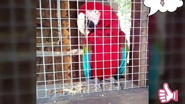 Мои фото с Зоопарка и Логопарка☺