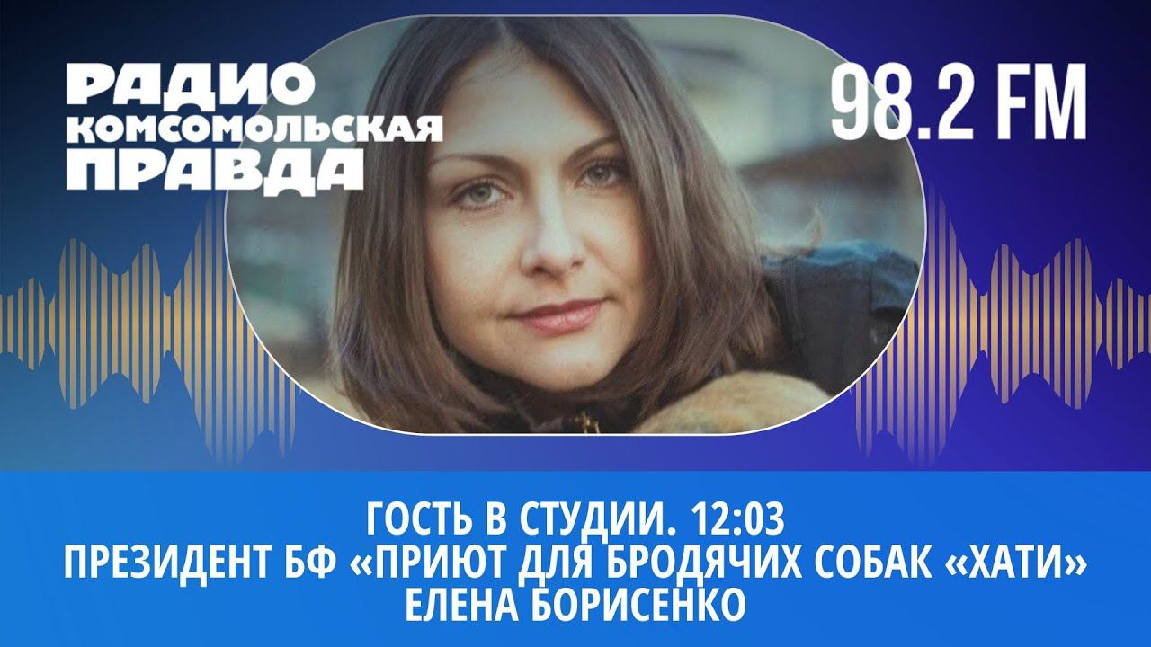 Гость в студии: президент БФ  «Приют для бродячих собак «Хати» Елена Борисенко | 7.10.2022