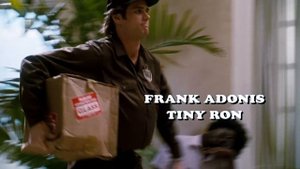 Ace Ventura — Package Delivery