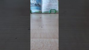 делаю сквиши из пакета 🛍