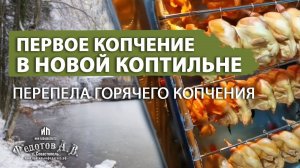 Опыт первого копчения перепелов в новой коптильне от Эдуарда Перепелкина.