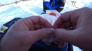 ЗИМНЯЯ РЫБАЛКА на таежной речке ловля платвы и мохтика. зимняя рыбалка 2021 году.