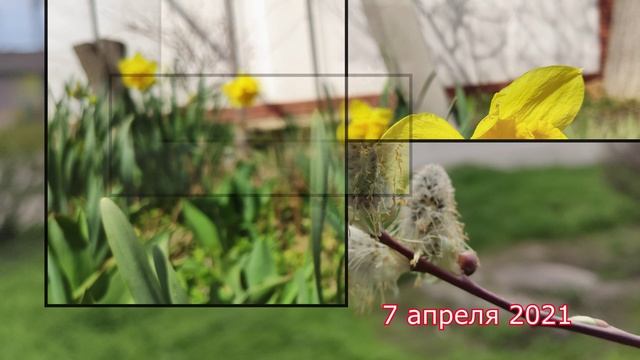 Фото Апрель 2022 Года