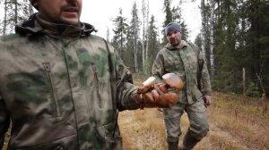 Едем на вездеходе в лесную избу. DIY отпуск. Жизнь в лесу. Добрые походы