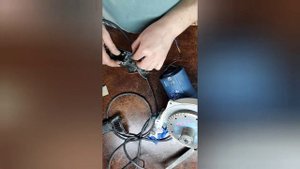 Как усовершенствовать штроборез Фиолент БЗ-40