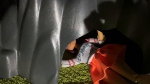 ЭКСТРЕМАЛЬНЫЕ ПРЯТКИ С МАРИНЕТТ, АДРИАНОМ И другими персонажами Леди Баг
