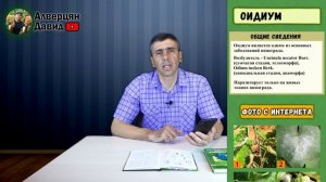 Справочник виноградаря