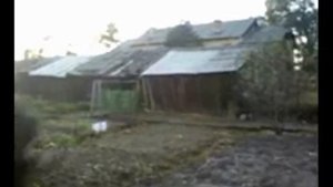 Рэмбо 6