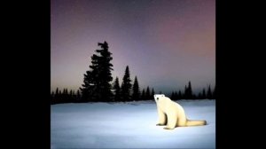 Объеснение Айсберга про Медведя из 2026 года