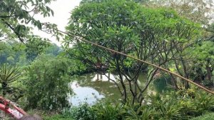 Китай, портовый город Гуанчжоу. Другая сторона торговой столицы мира.