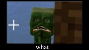 Minecraft wait what meme part 142 (realistic creeper)